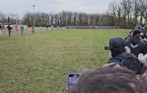 Cross long et Master Hommes dart