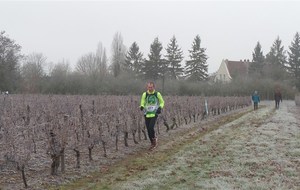 Trail Luynes, froid , mais l'ASF présente ... 