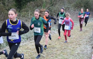 Cross de Chateau Renault et Régionaux de marche Nordique 