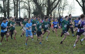 DX de Cross , 6 titres départementaux pour l'ASF ! 