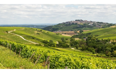 13 au 16 juin, Le hors Stade à Sancerre 